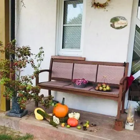 Fernblick Apartment *